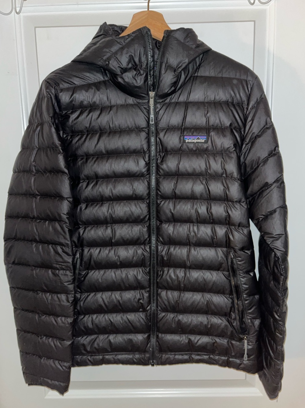 Patagonia Down Hoodie